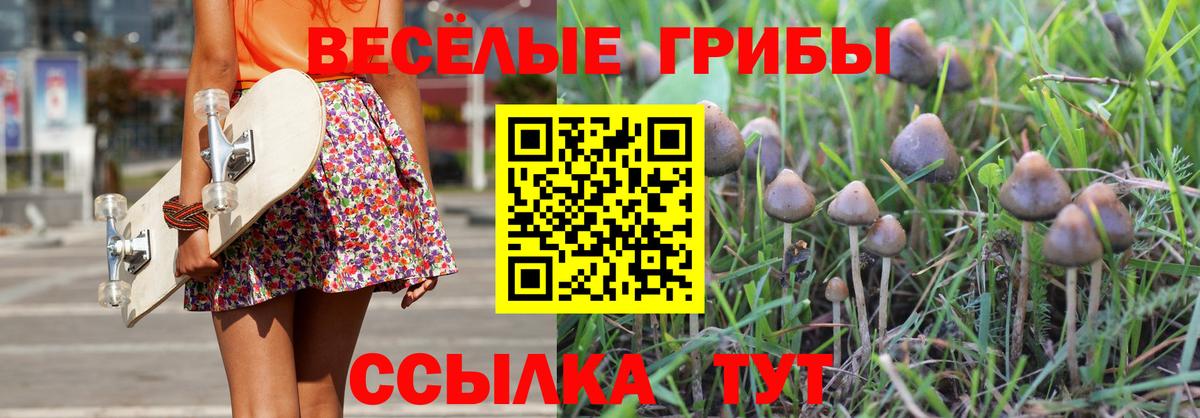 Галлюциногенные грибы Magic Shrooms Электросталь