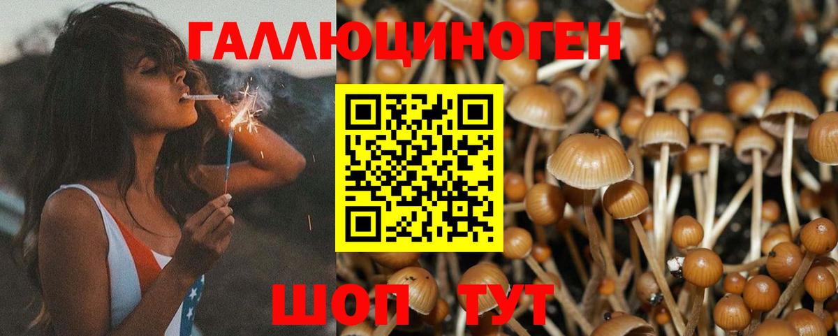 Электросталь  Галлюциногенные грибы ЛСД  где купить наркоту  Вход с VPN 